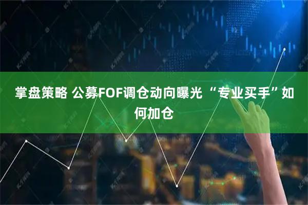 掌盘策略 公募FOF调仓动向曝光 “专业买手”如何加仓