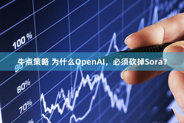 牛点策略 为什么OpenAI，必须砍掉Sora？