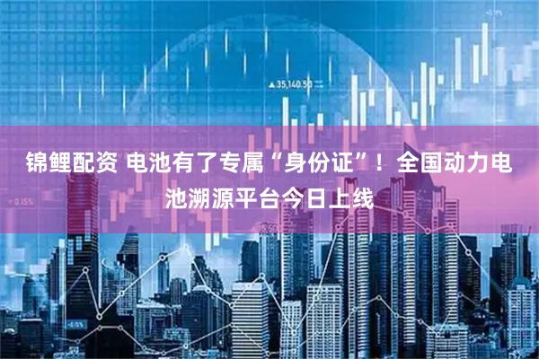 锦鲤配资 电池有了专属“身份证”！全国动力电池溯源平台今日上线